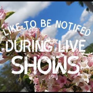 @jrbrotz Live Show Notification Vintage Glass Jewelry & Collectibles